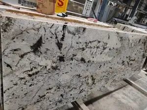 Forest White Granite Slab