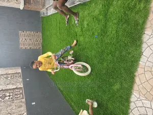 High Quality Synthetic Grass Carpet