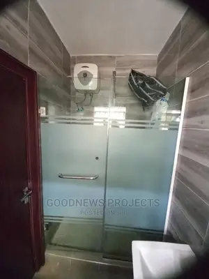 Designed Hinge Shower Glass