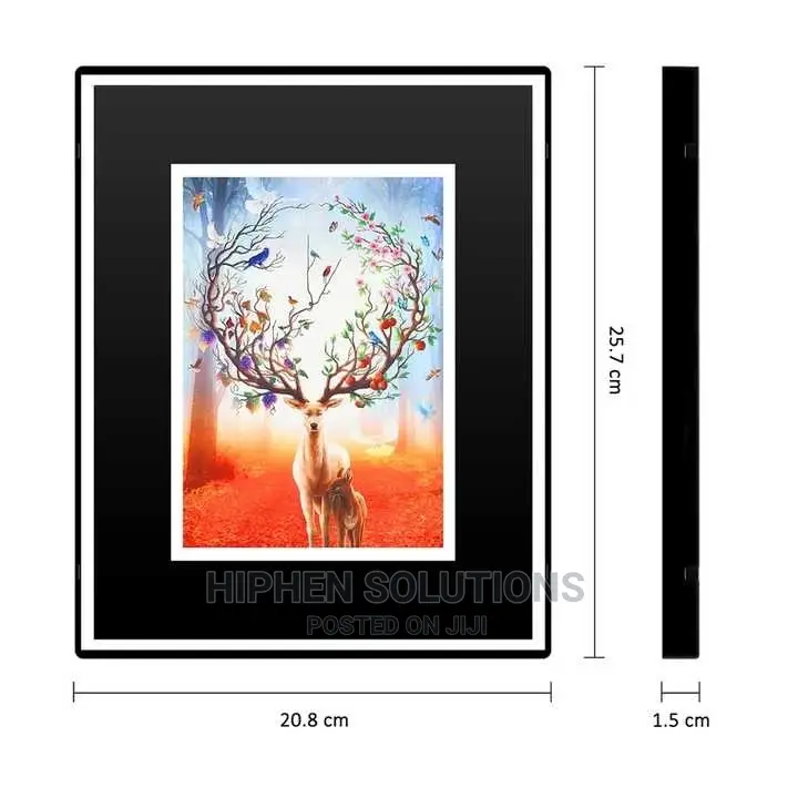 High Performance Pictures Frame Camera