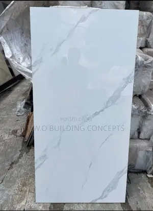 60/120 Floor Tile