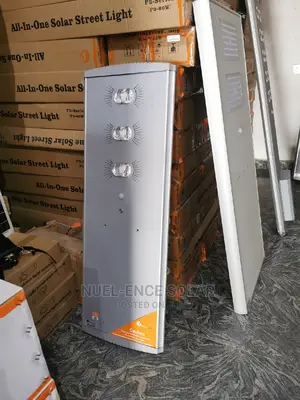 P2 60w COB All in One Solar Street Light Felicity