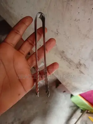 Stainless Ice Picker/ Tong