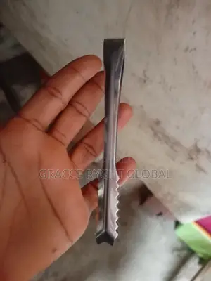 Stainless Ice Picker/ Tong