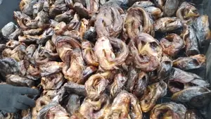 Oven Dried Catfish