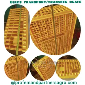 Bird Transport Cage