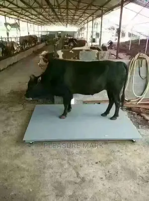 Platform Scale
