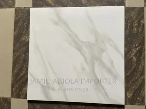 Super Polish Virony 60*60 Quality Tiles