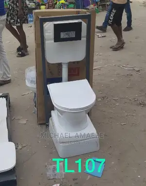 Wall Hang Water Closet