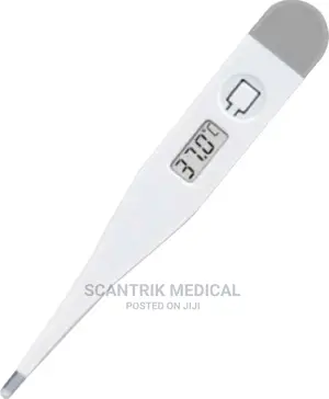 Portable Thermometer for Oral and Axillary Measureme