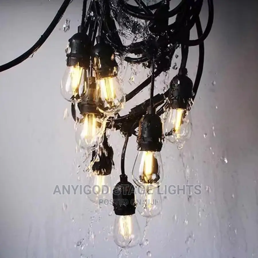 Quality String Light for Outdoor and Indoor Use