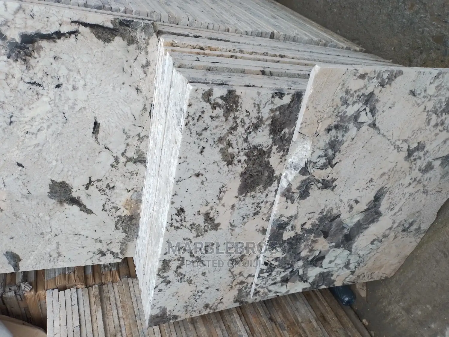 Granite Forestwhite
