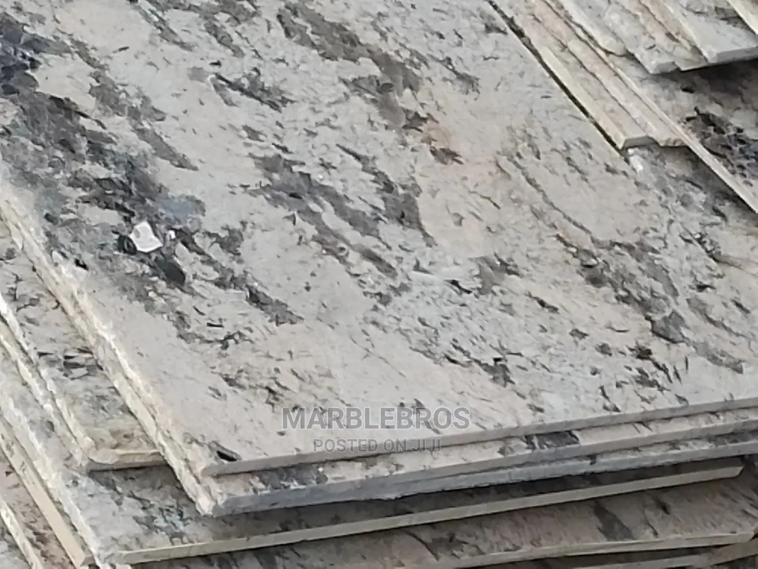 Granite Forestwhite