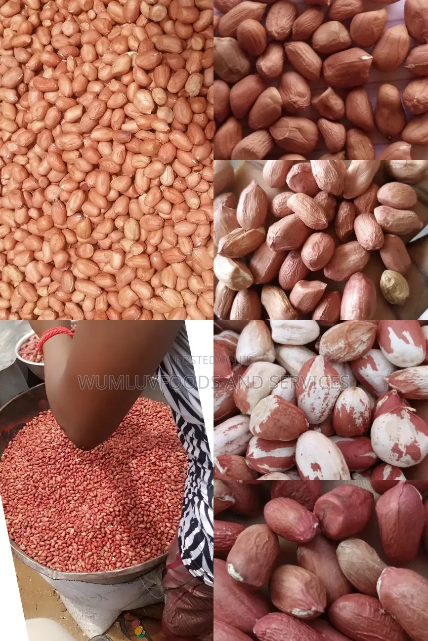 Groundnut Available in Varieties