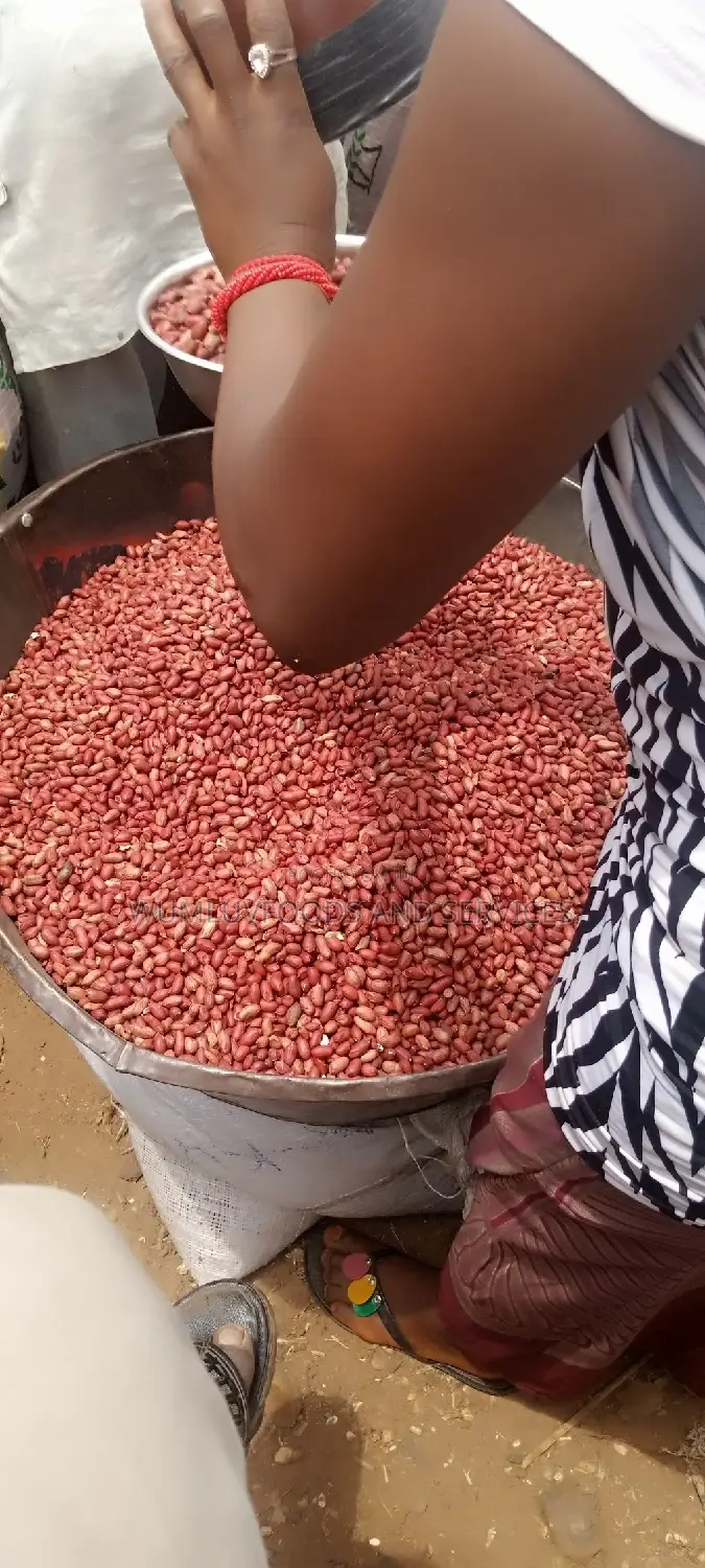 Groundnut Available in Varieties