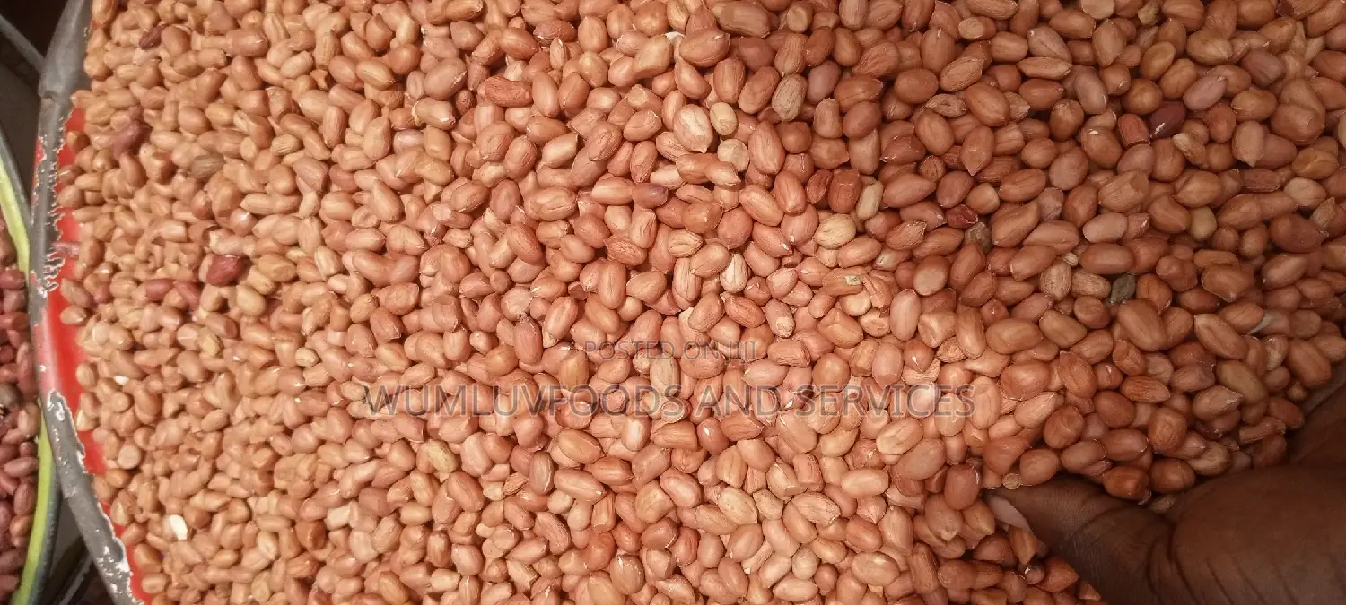 Groundnut Available in Varieties