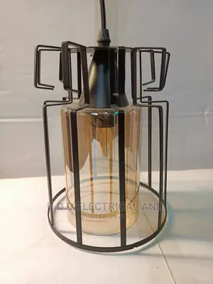 Single Drop Light With Bulb So Many Design Available