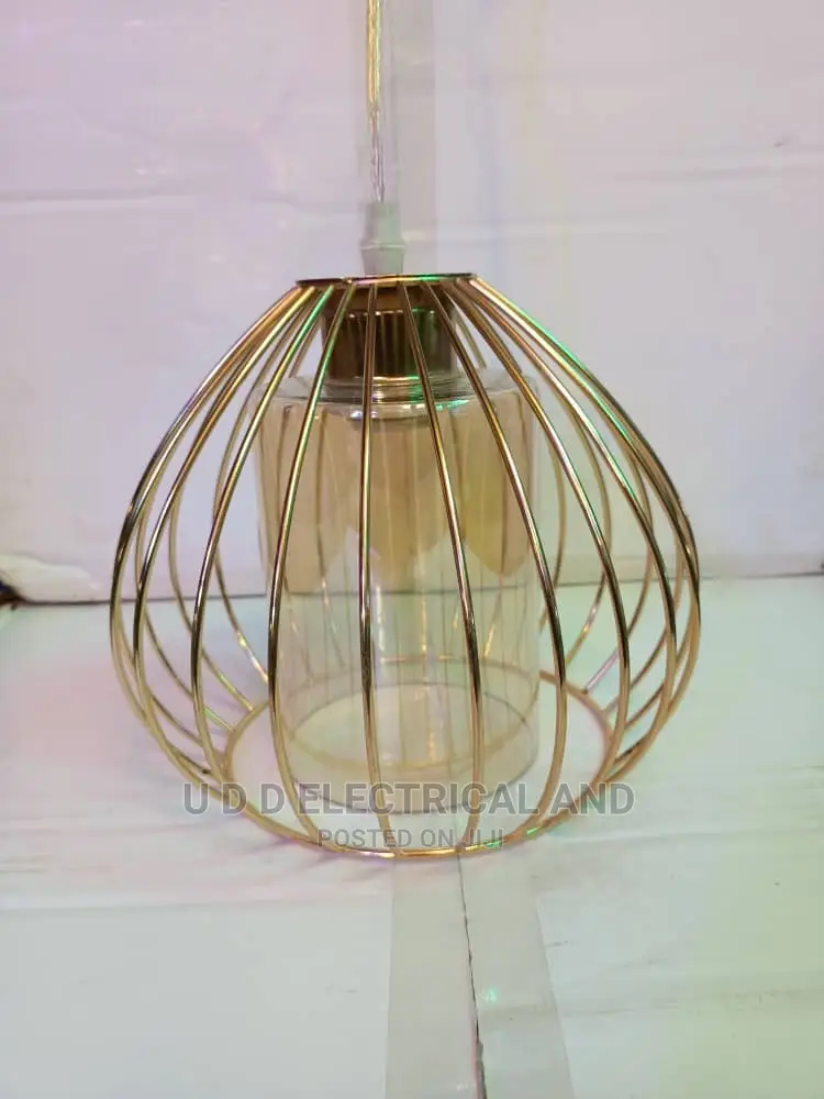 Single Drop Light With Bulb So Many Design Available