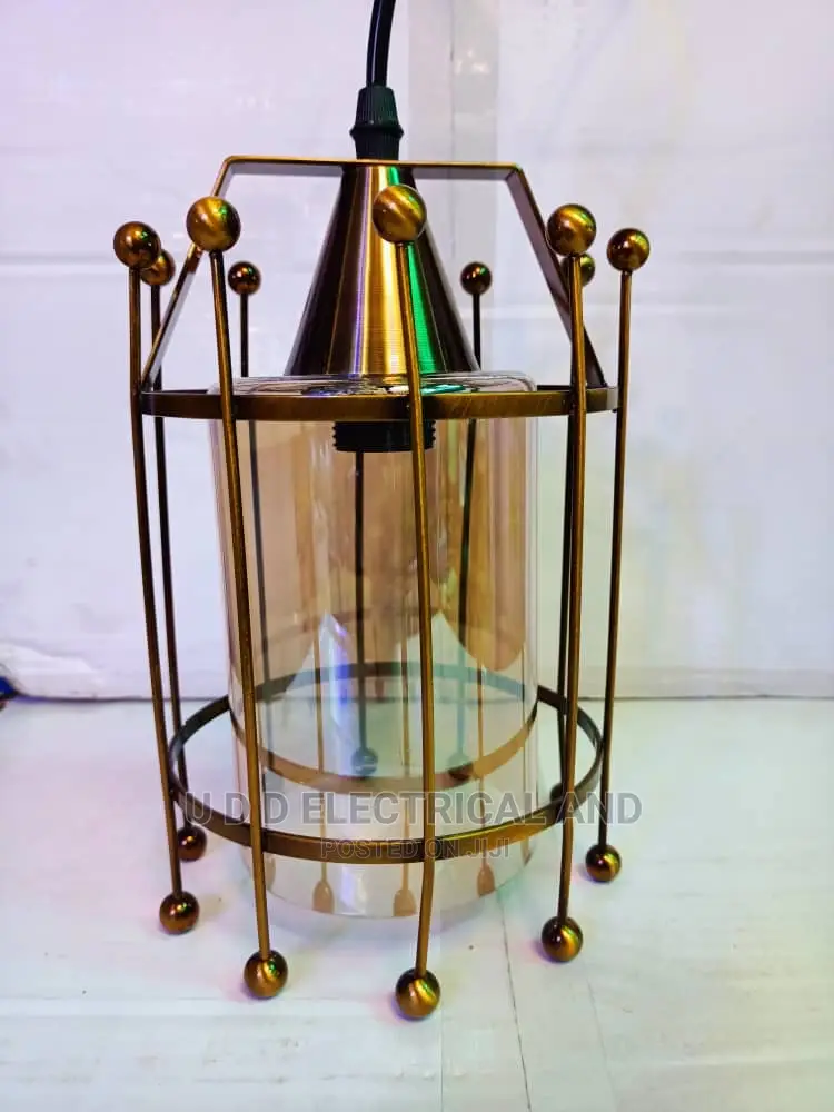 Single Drop Light With Bulb So Many Design Available