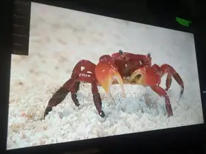 Brand New High Quality LG 43 Inches Led Tv