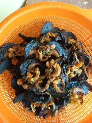 Oven -Dried Jumbo Snails(EXPORT INCLUSIVE)