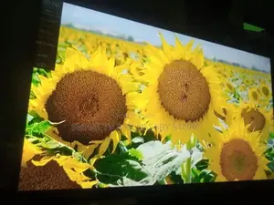 Brand New Original 43 Inches LG Led Tv