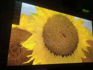 Top Quality 65" LG UHD TV
