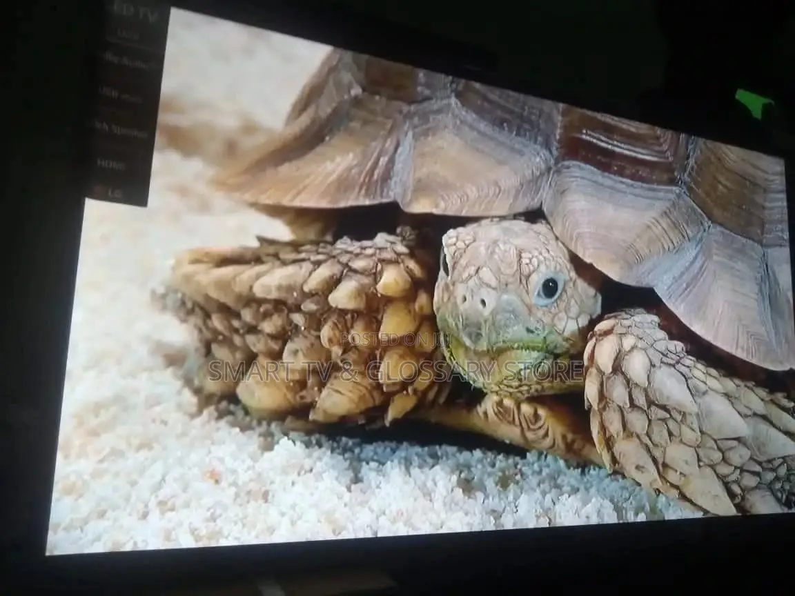 55" LG Uhd TV