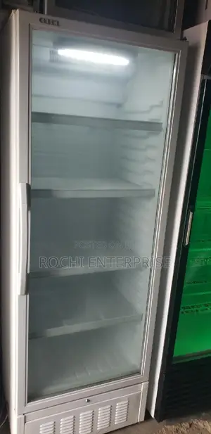 Display Chiller Fridge Refrigerator Commercial Fridge