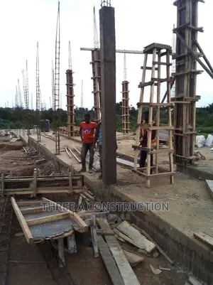 Professional Bricklayer/Building Contractor