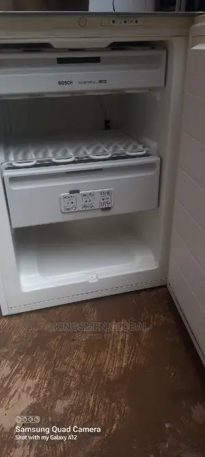 Bosch Table Top Upright Freezer