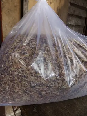 Dog Brown Rice