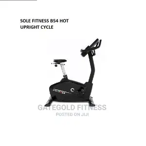 Sole Fitness B54 Upright Cycle