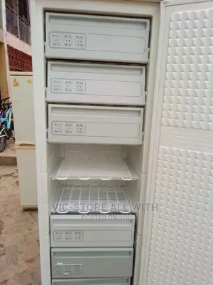 Upright Freezer Europe Products