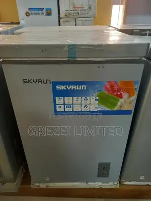 Skyrun Chest Frezzer BD90