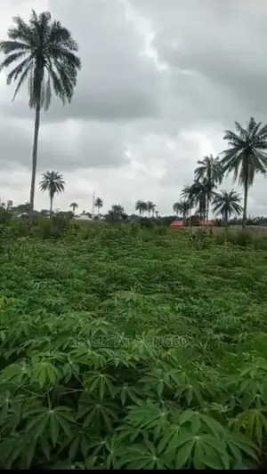 Sweet Table Land 200ft by 200ft Ibusa-Asaba Exp Way Ibusa