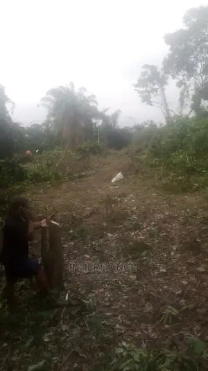 Half Plot at Imgbon Araromi Ikorodu