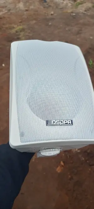 Voltage Speakers Speakers for Hotel, School, Hospitals