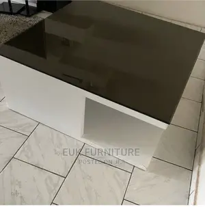 Simple and Unique Glossy Center Table