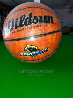 Wildsun Basketball Balls