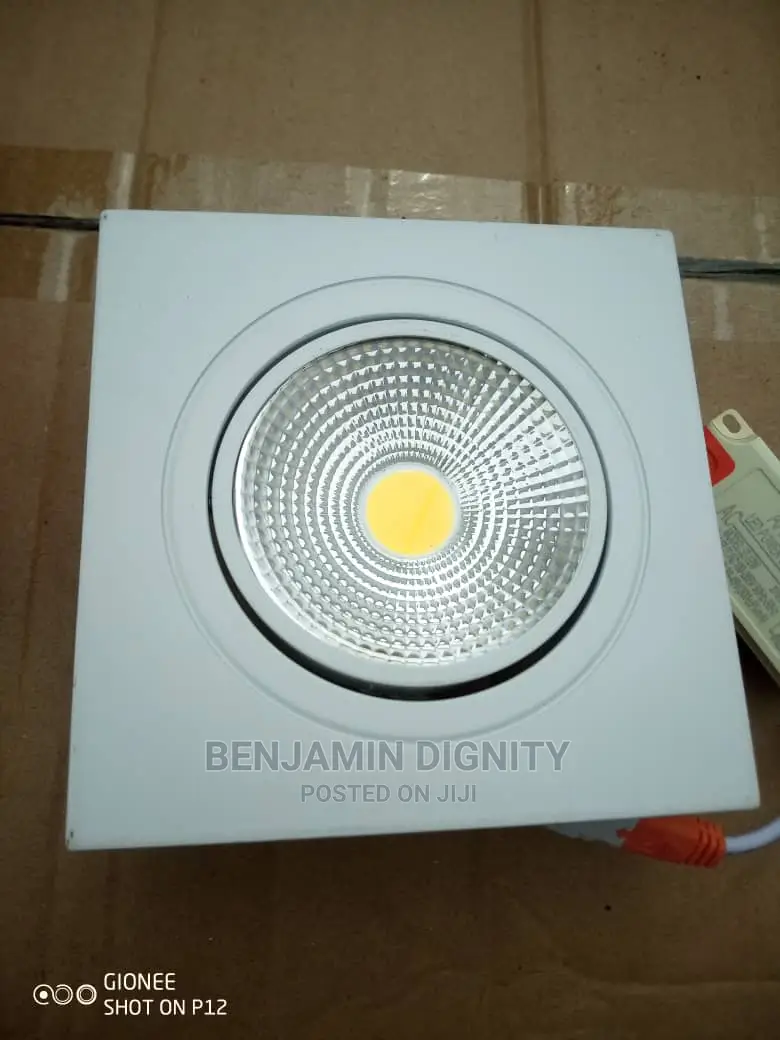 Led Adjustable Pop Light 