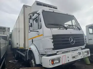Mercedes 1831cooling Truck