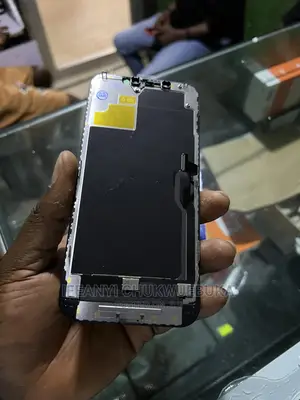 iPhone 12 Pro Max Oled Screen
