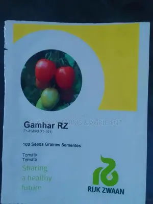 Gamhar Rz Tomato Seed