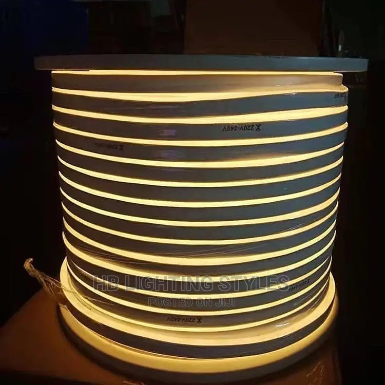 LED Neon Strip 220V