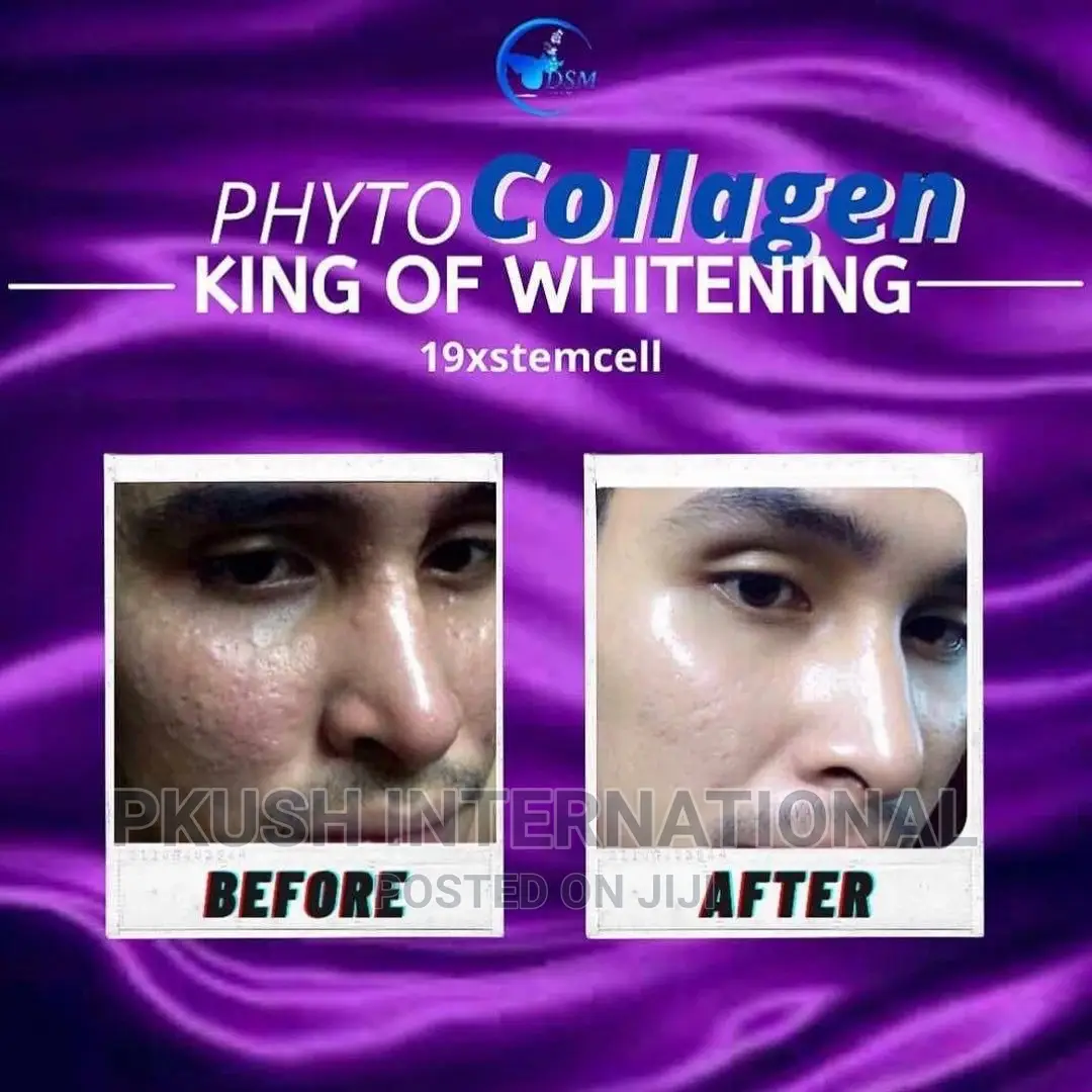 Phyto Collagen