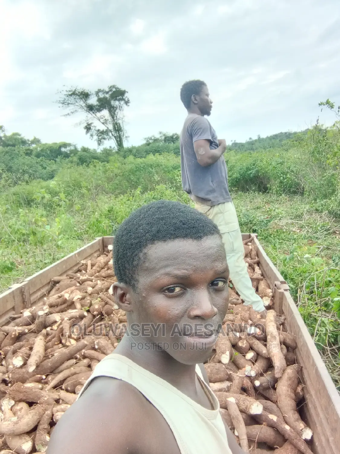 Farming Consultant