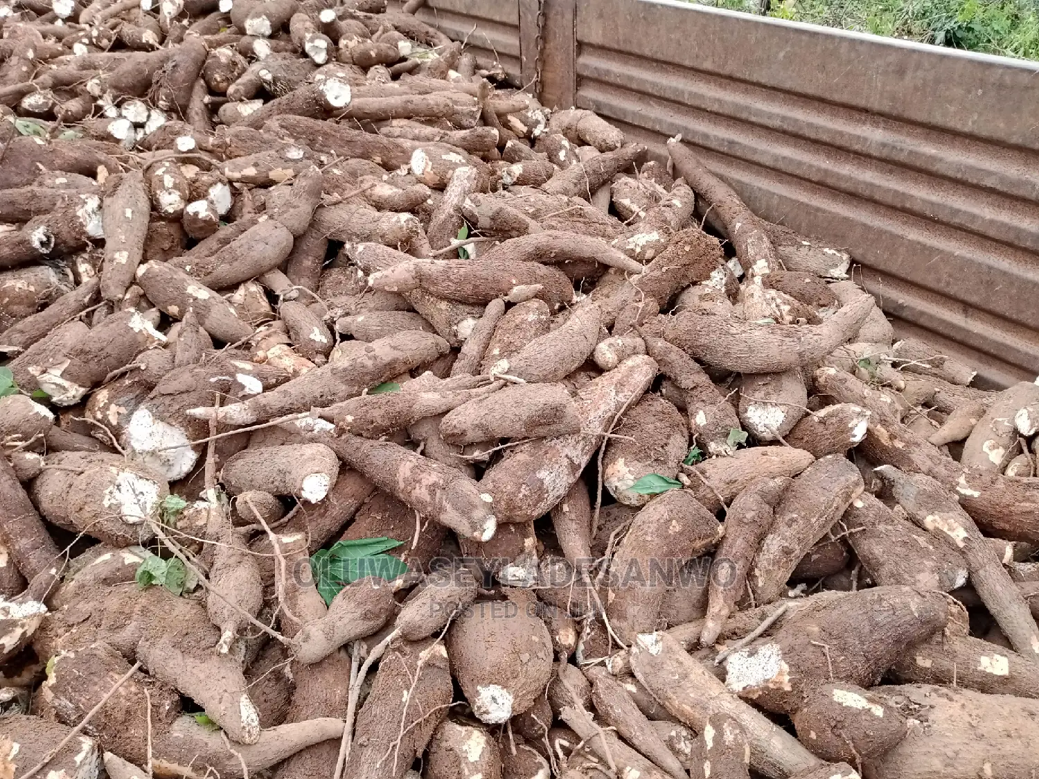 Farming Consultant