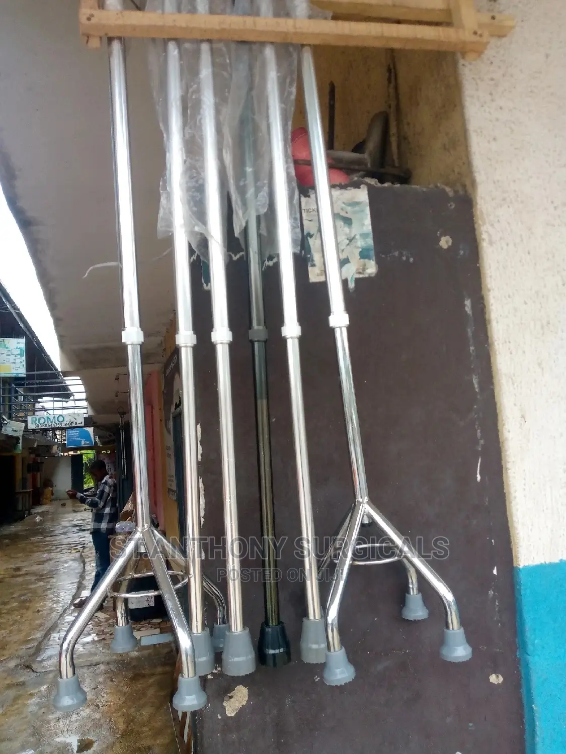 Walking Stick