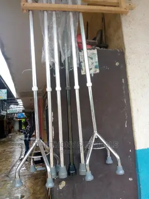 Walking Stick